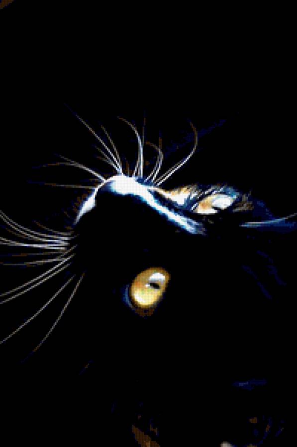 №246644 - кот - предпросмотр