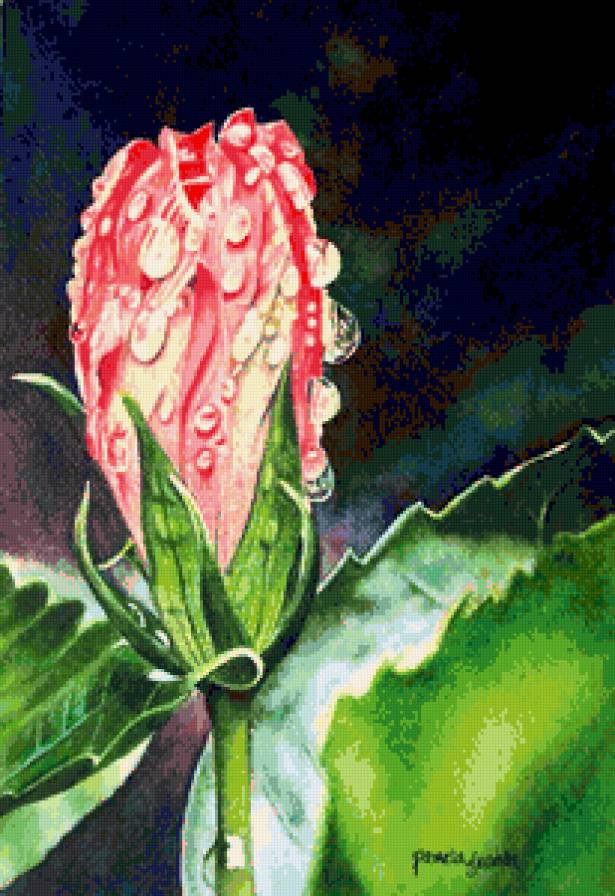 №246669 - цветы - предпросмотр