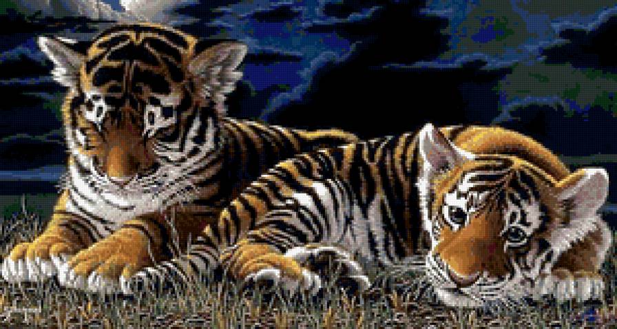 Маленькие тигрята - детки, тигрята - предпросмотр