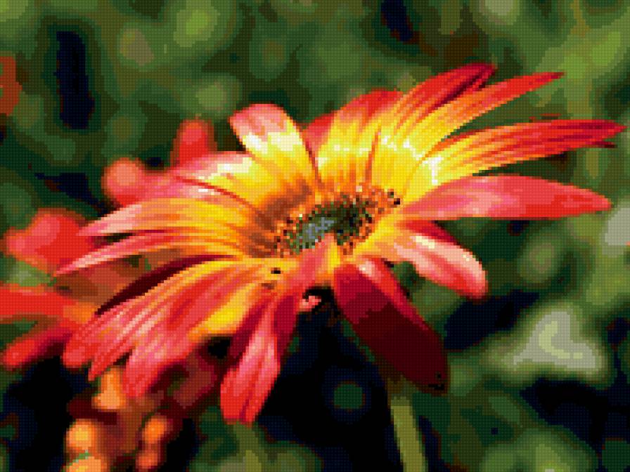 Цветочек - цветы - предпросмотр