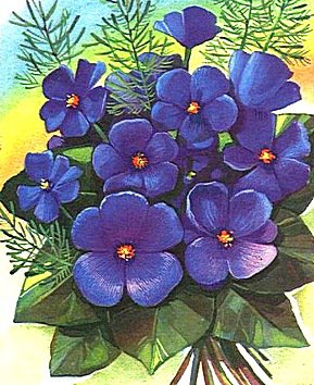 Фиалки - фиалки - оригинал