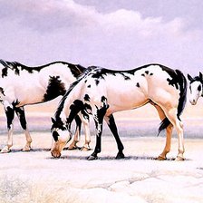 Схема вышивки «№246821»