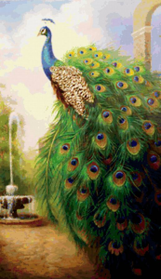 №246843 - предпросмотр