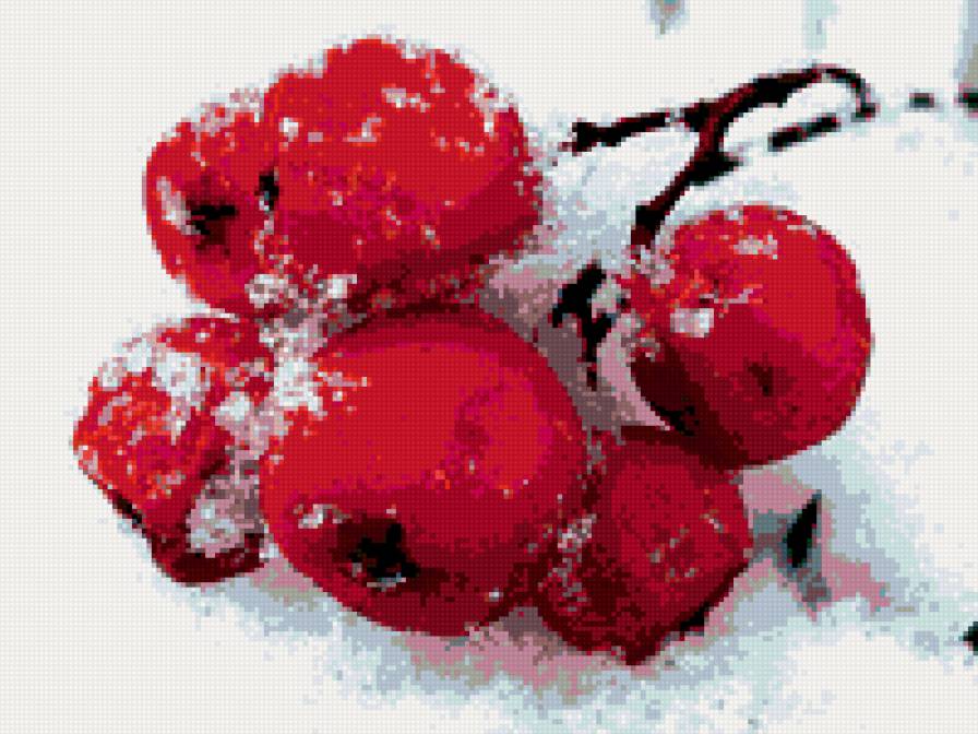 Рябинка2 - зима, растение - предпросмотр