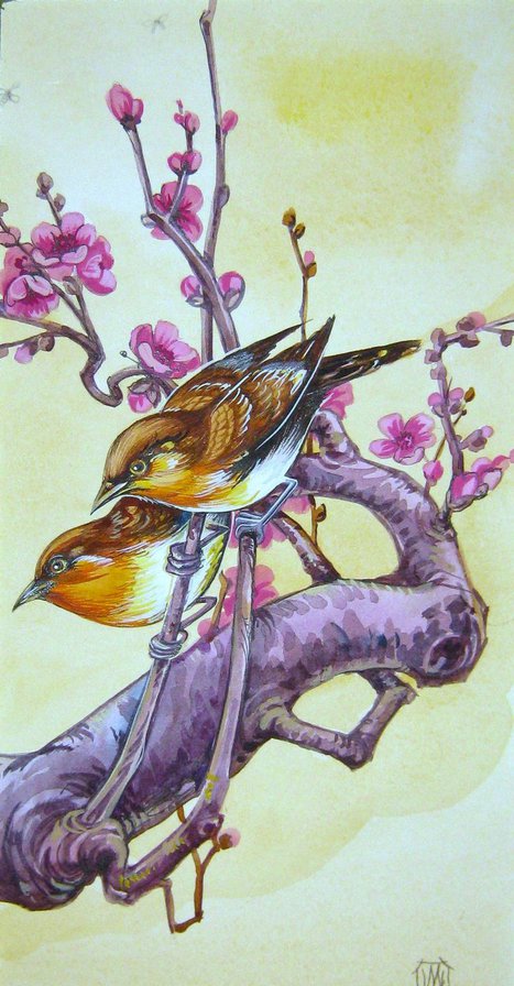 птички - птицы, весна, птица, природа - оригинал