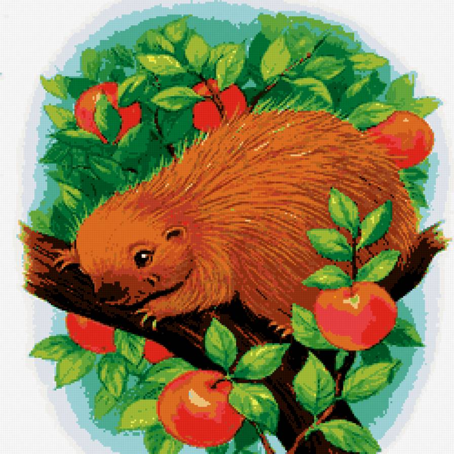 зверек - фрукты, яблоки, животные, дерево, подушка, природа - предпросмотр