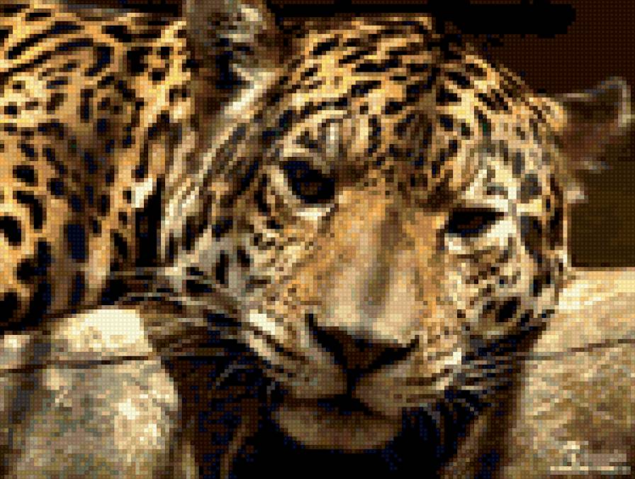 леопард - предпросмотр