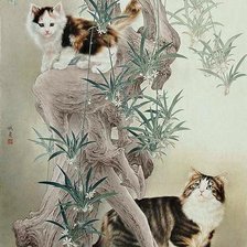 Схема вышивки «№247567»