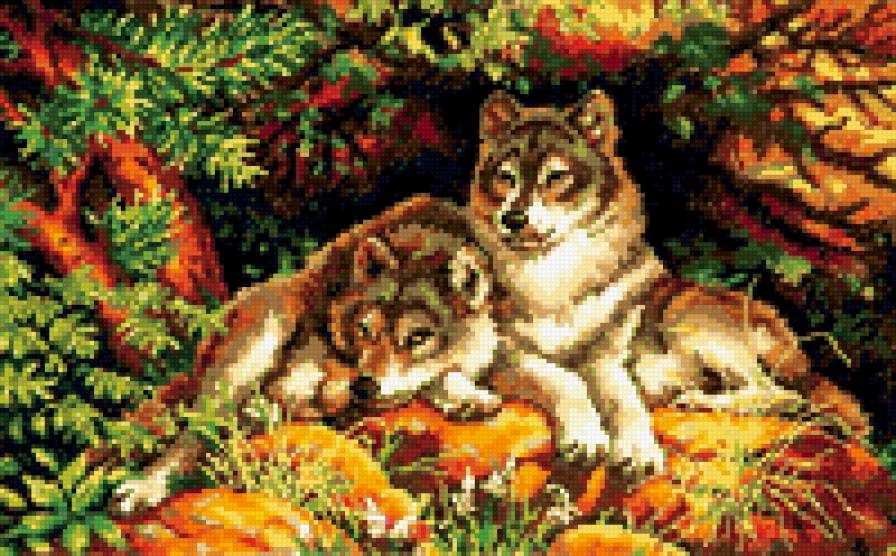 волки - природа - предпросмотр