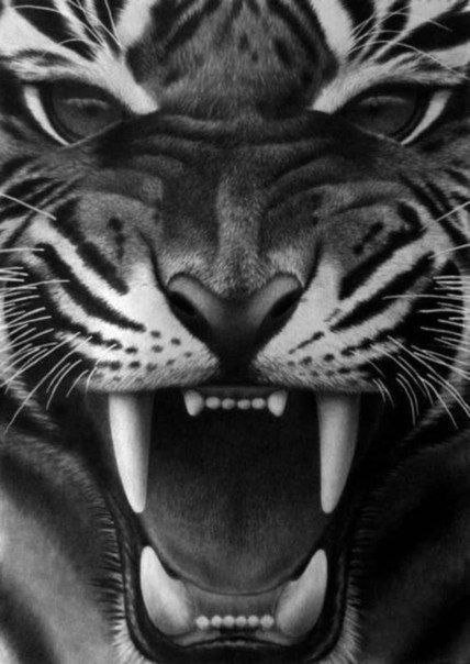 №247657 - оригинал