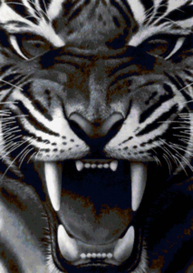 №247657 - предпросмотр