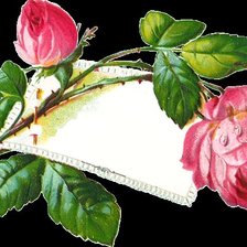 Оригинал схемы вышивки «роза» (№247730)
