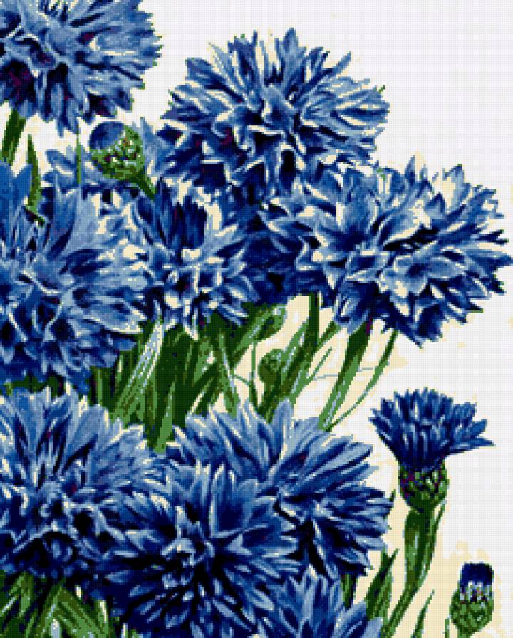 Васильковое панно - васильки, василек, букет, цветы, панно, полевые цветы - предпросмотр