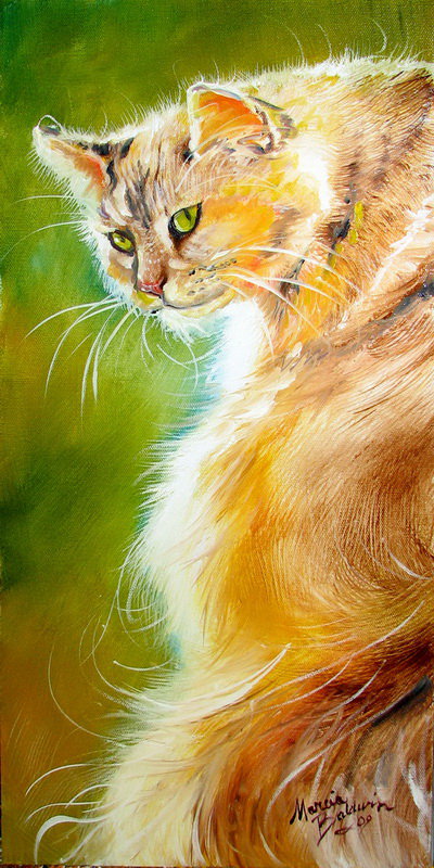 Взгляд - кошки, животные, коты - оригинал