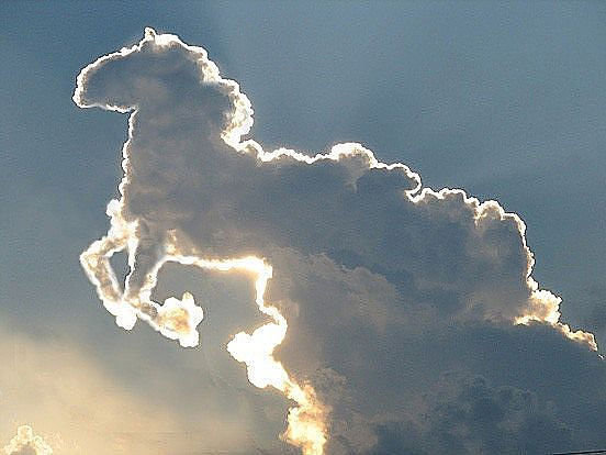 облака,белогривая лошадка - оригинал