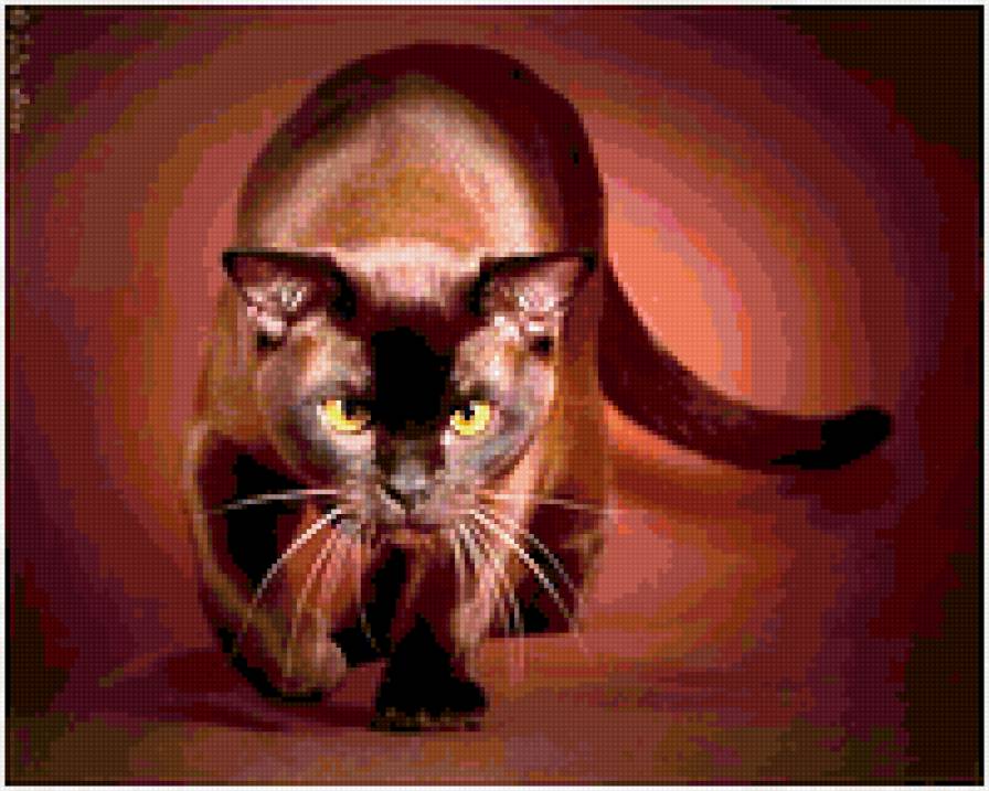 №247820 - предпросмотр