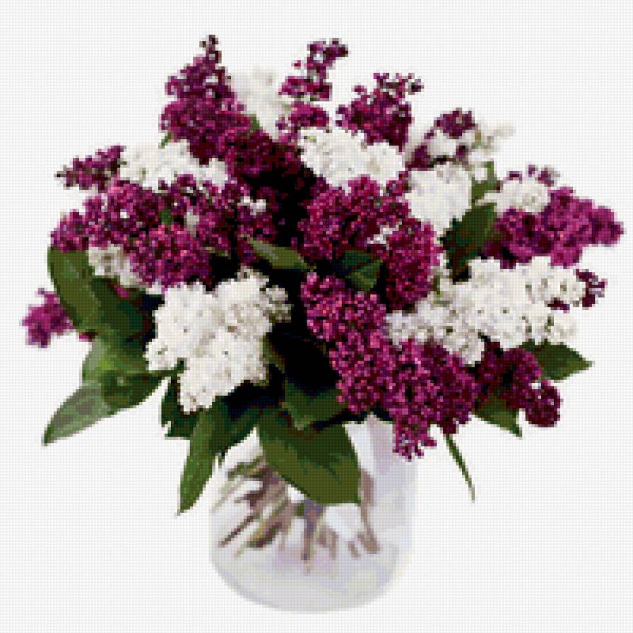 Букет сирени - сирень, букет, цветы - предпросмотр