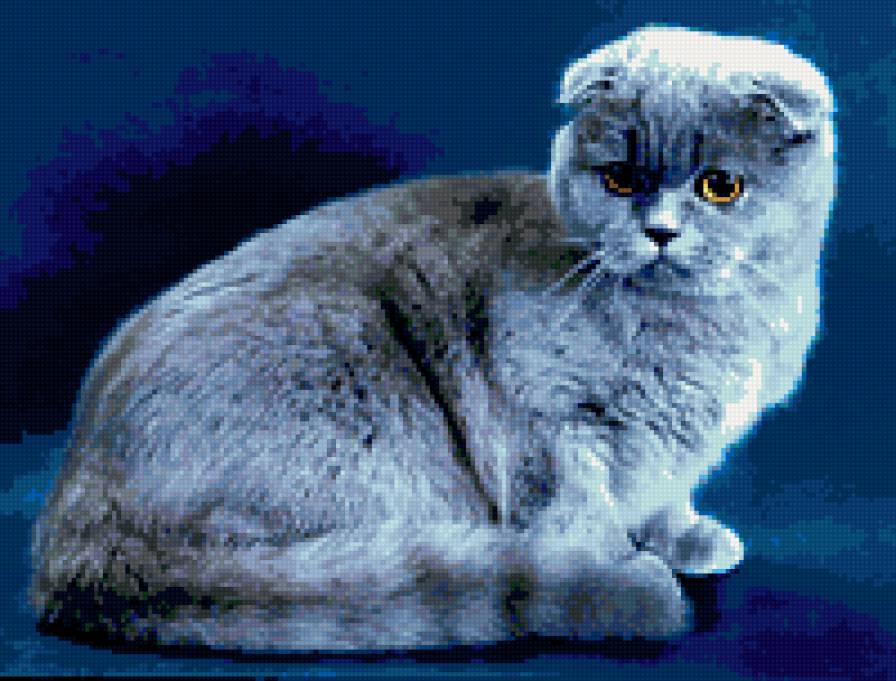 британец - предпросмотр