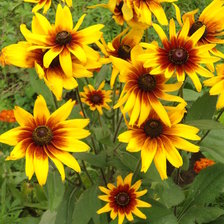 Схема вышивки «1»