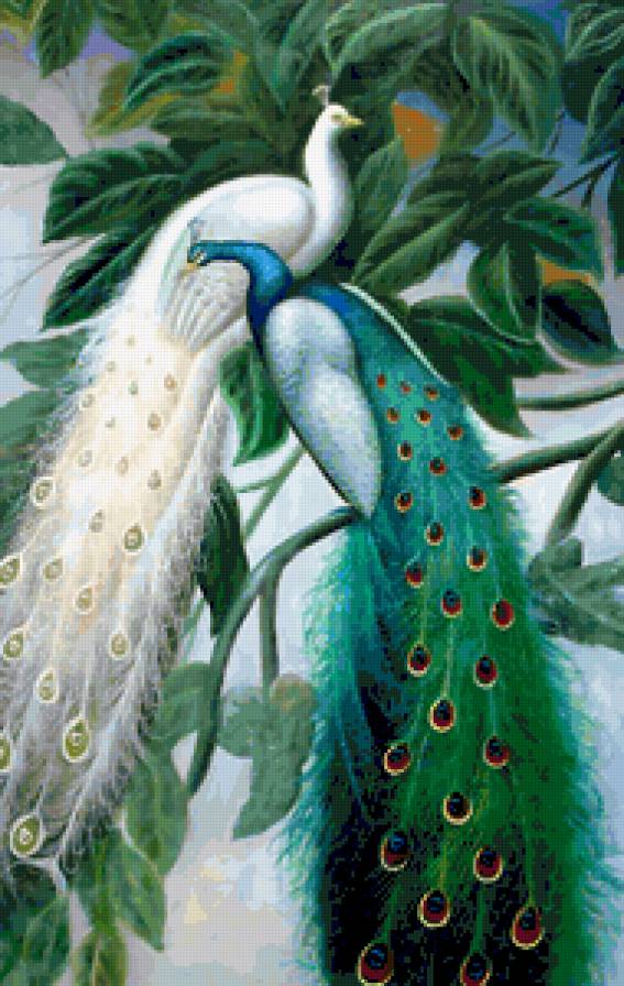 №248163 - предпросмотр