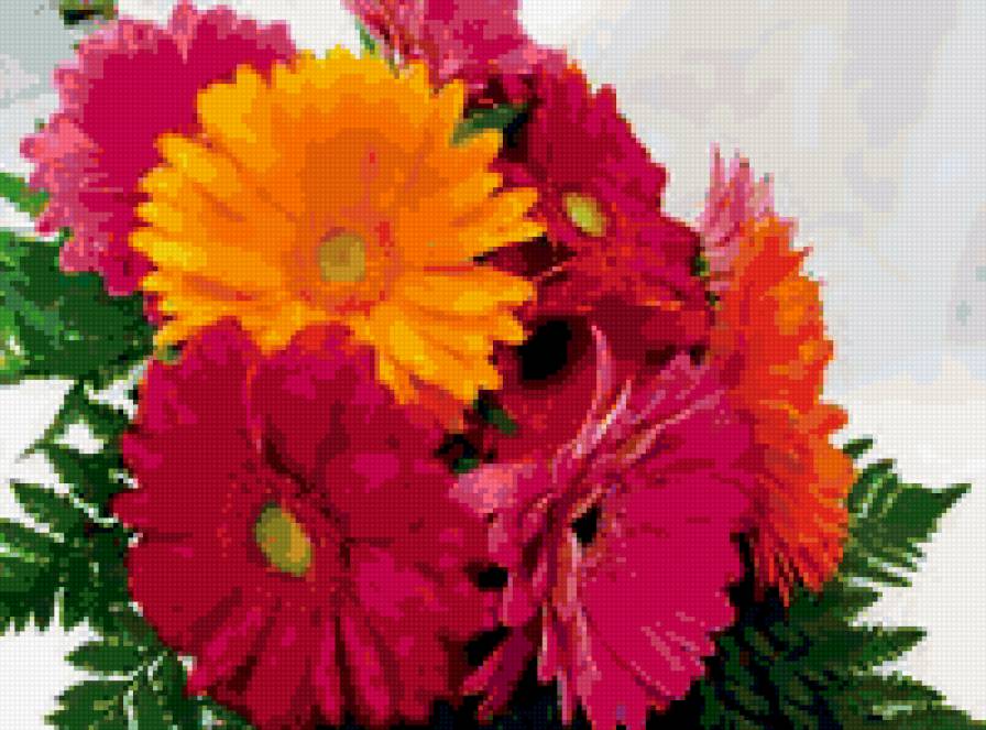 герберы - предпросмотр