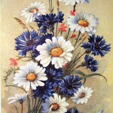 Схема вышивки «полевые цветы»