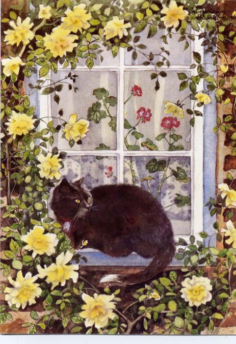 Кошка у окошка... - животные - оригинал