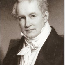 Схема вышивки «Гумбольдт»