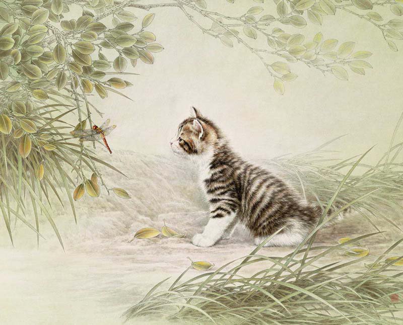 Интерес - коты, стрекоза, кошки, природа - оригинал