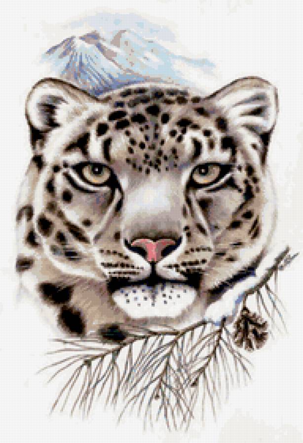 барс - взгляд, природа, кошки, животные, хищники - предпросмотр