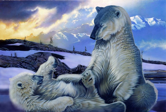 медведи - север, мишка, животные - оригинал
