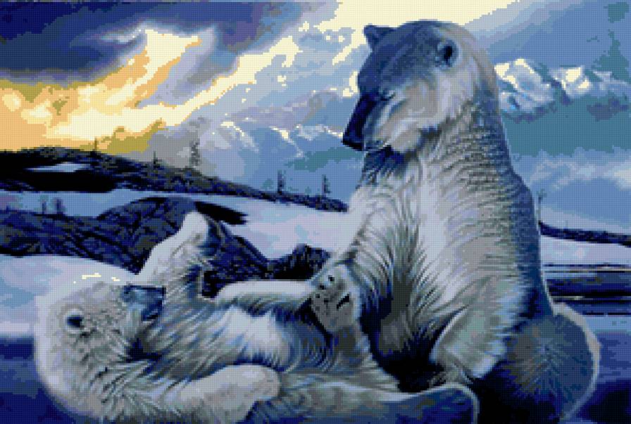 медведи - север, животные, мишка - предпросмотр