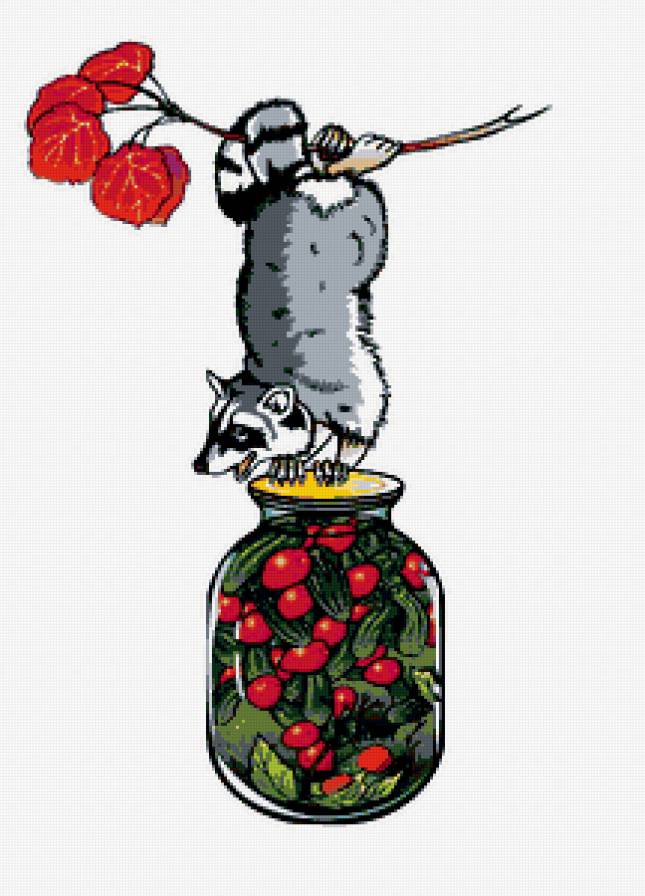 енот - еноты, животные, кухня, еда, зверята - предпросмотр