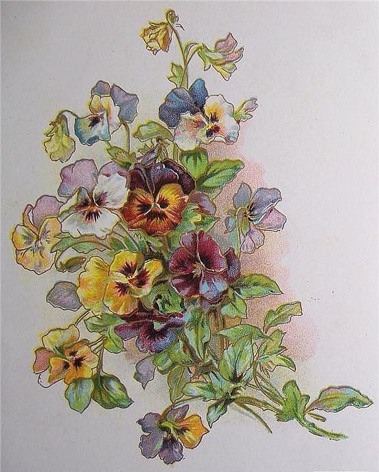 №248706 - оригинал