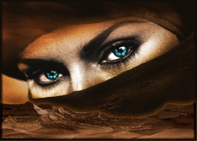 №248835 - оригинал