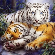 Схема вышивки «№248883»