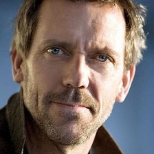 Схема вышивки «хью лори»