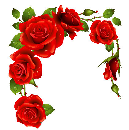 Розы - цветы - оригинал