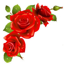 Оригинал схемы вышивки «Розы» (№248960)