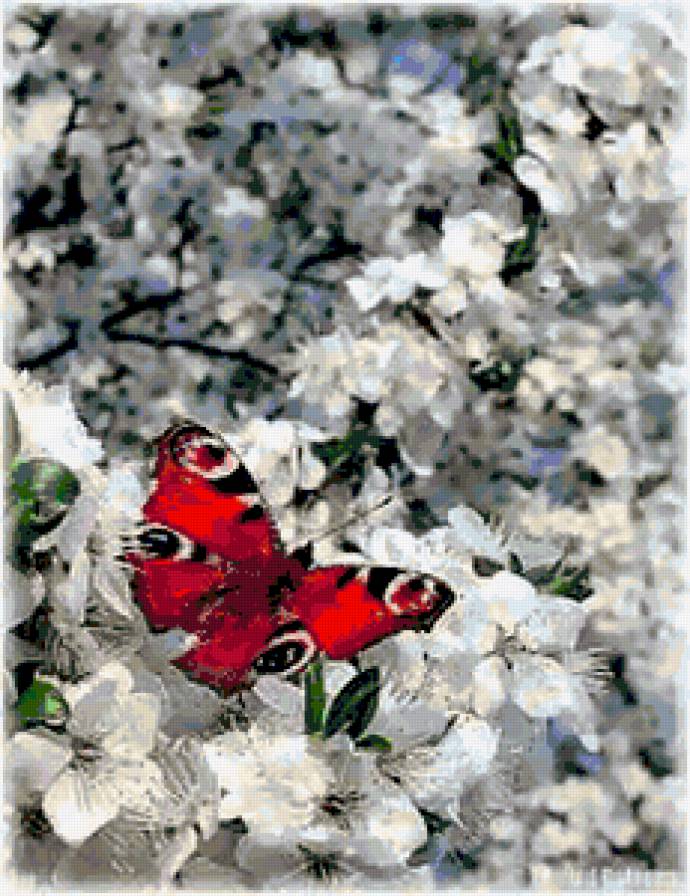 Весна. - весна, бабочки, цветы - предпросмотр