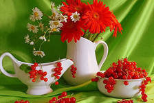 Схема вышивки «№249018»