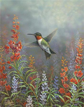 Колибри - колибри, природа, цветы, птицы - оригинал