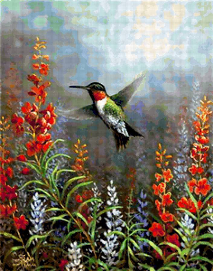 Колибри - колибри, цветы, птицы, природа - предпросмотр