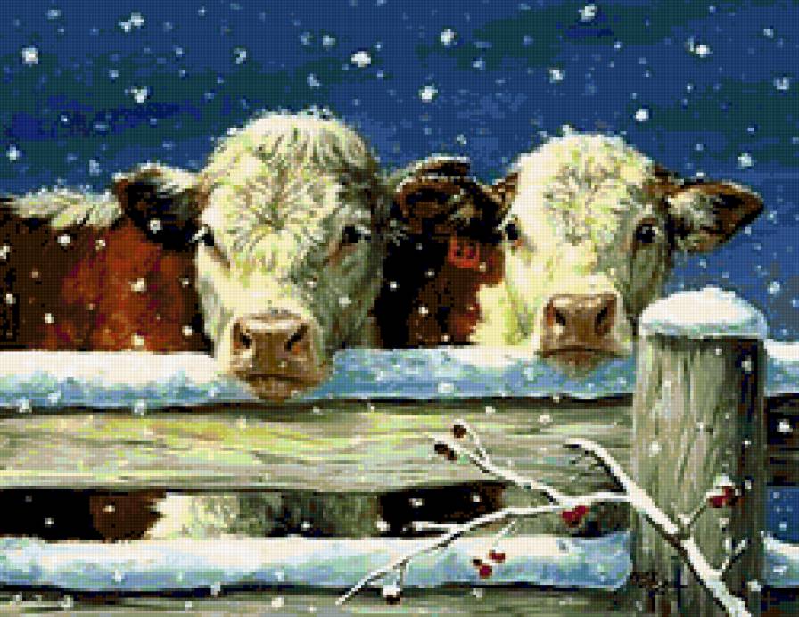 №249162 - предпросмотр