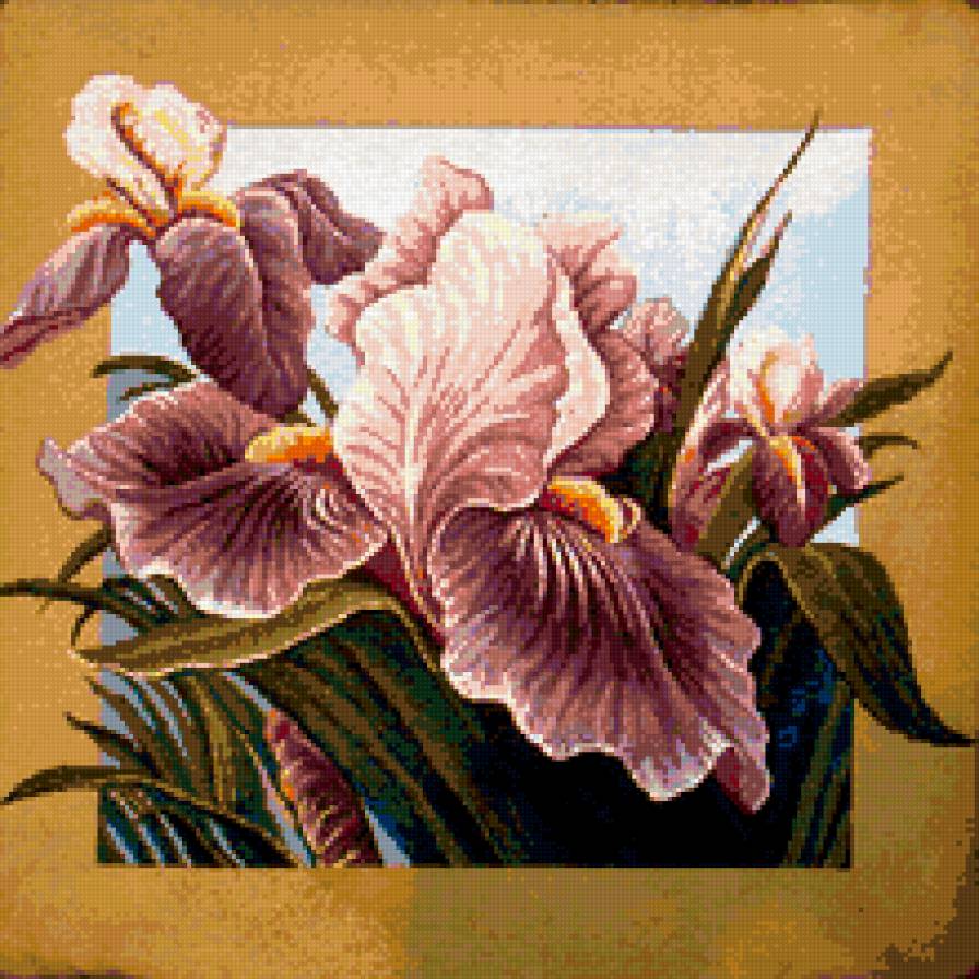 Ирисы в рамке - ирисы, цветы - предпросмотр