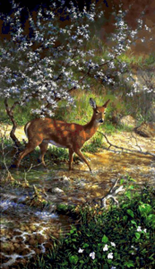 Олень - природа, река, животные, олени, пейзаж - предпросмотр