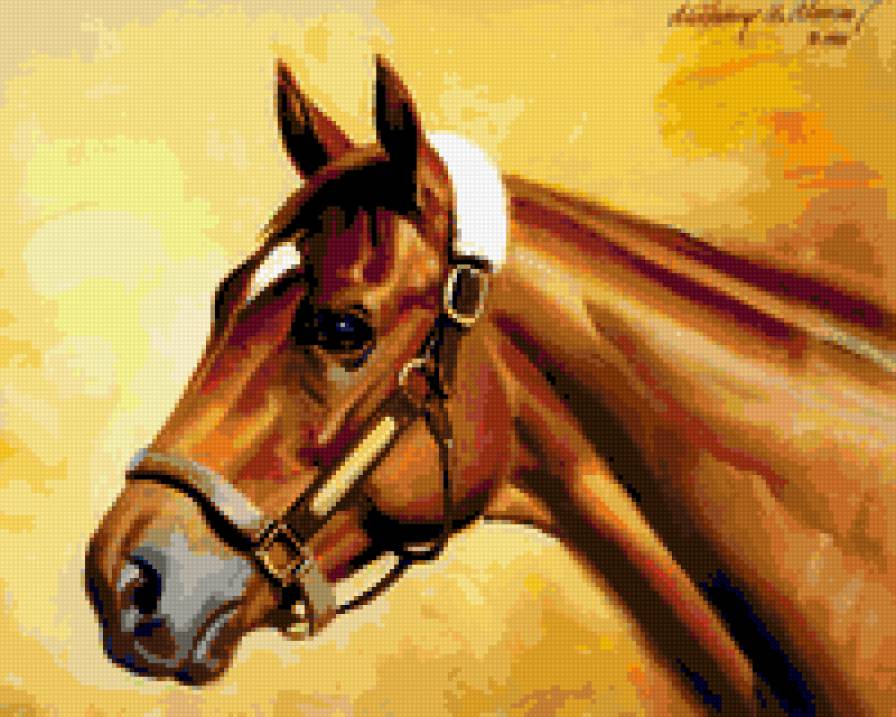 конь - предпросмотр