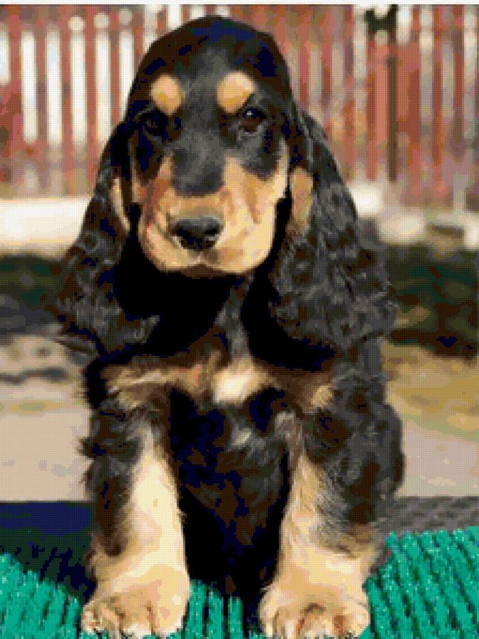 №249307 - предпросмотр