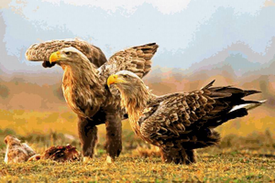 №249344 - предпросмотр