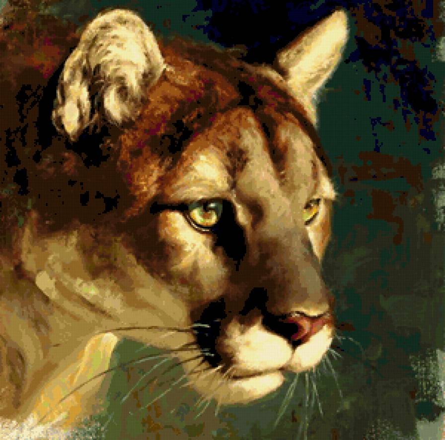 Пума - животные, дикие кошки, пума, кошки, горный лев, природа - предпросмотр